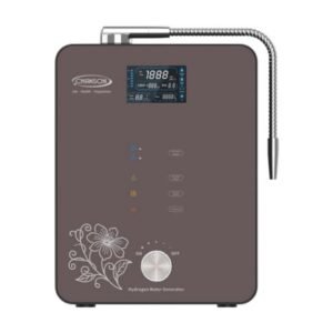 Hydrogen Water Generator